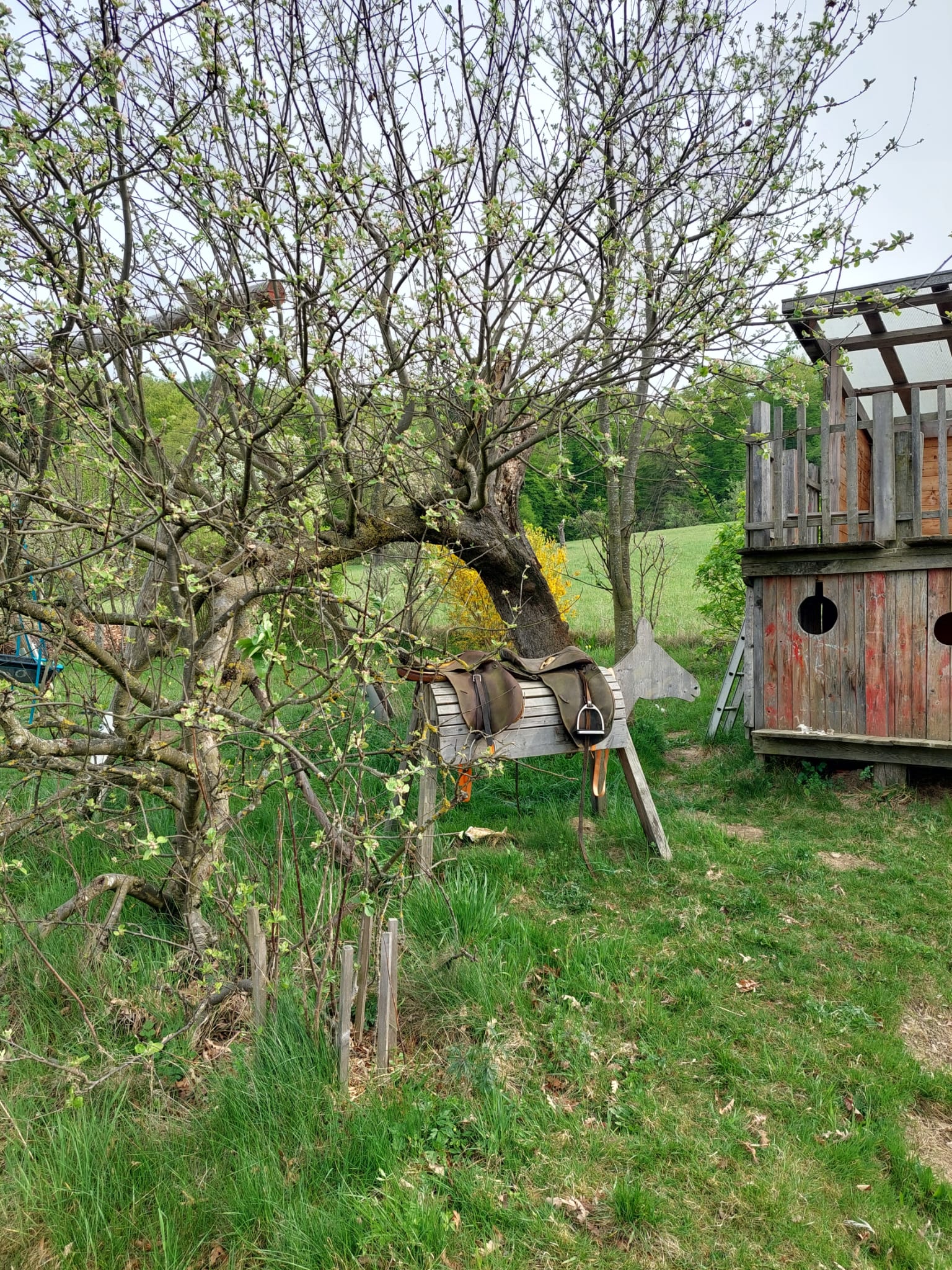 Garten 1 – Gemeinschaftsgarten